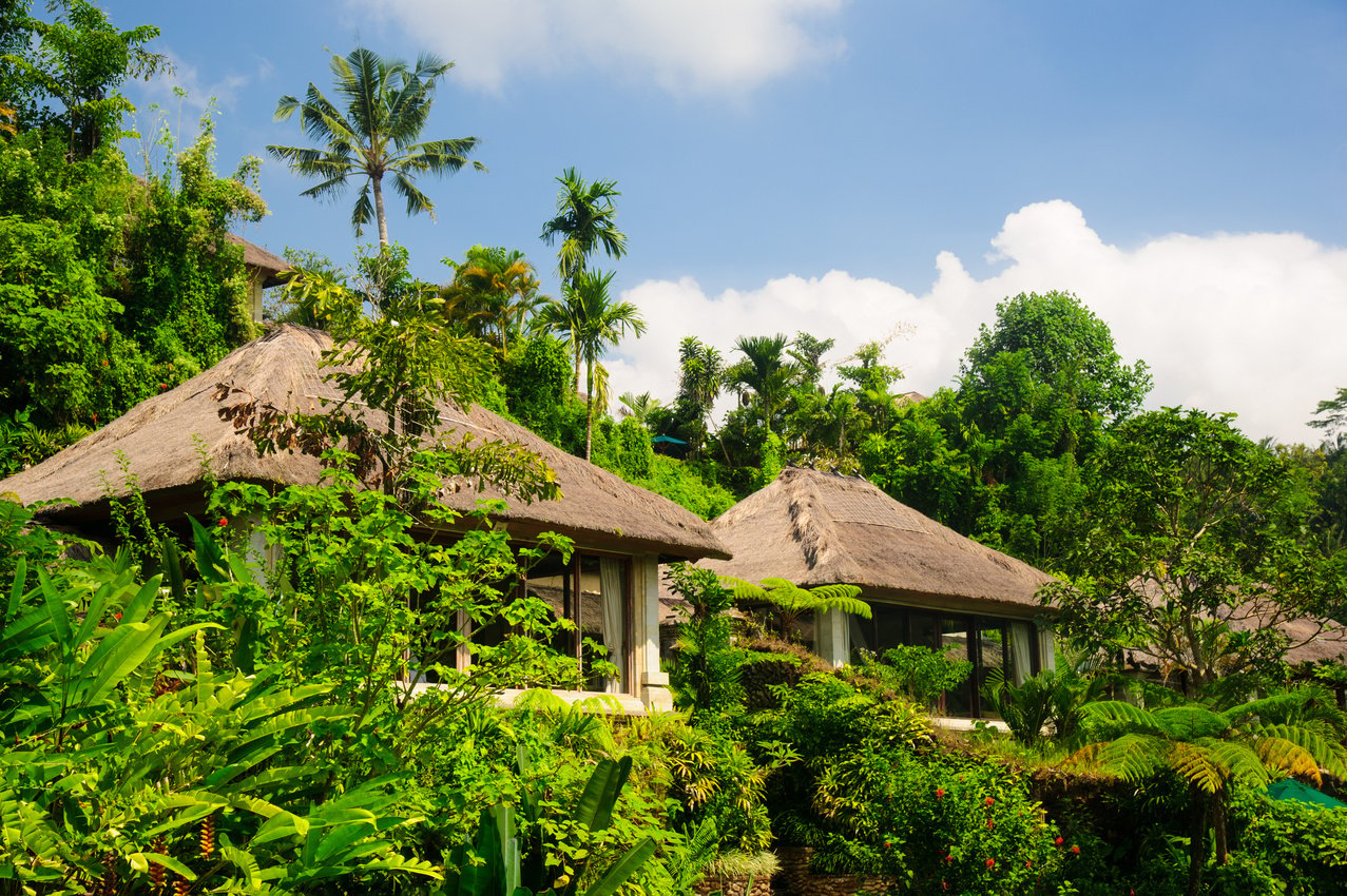 Luxury Villas in Jungle Resort