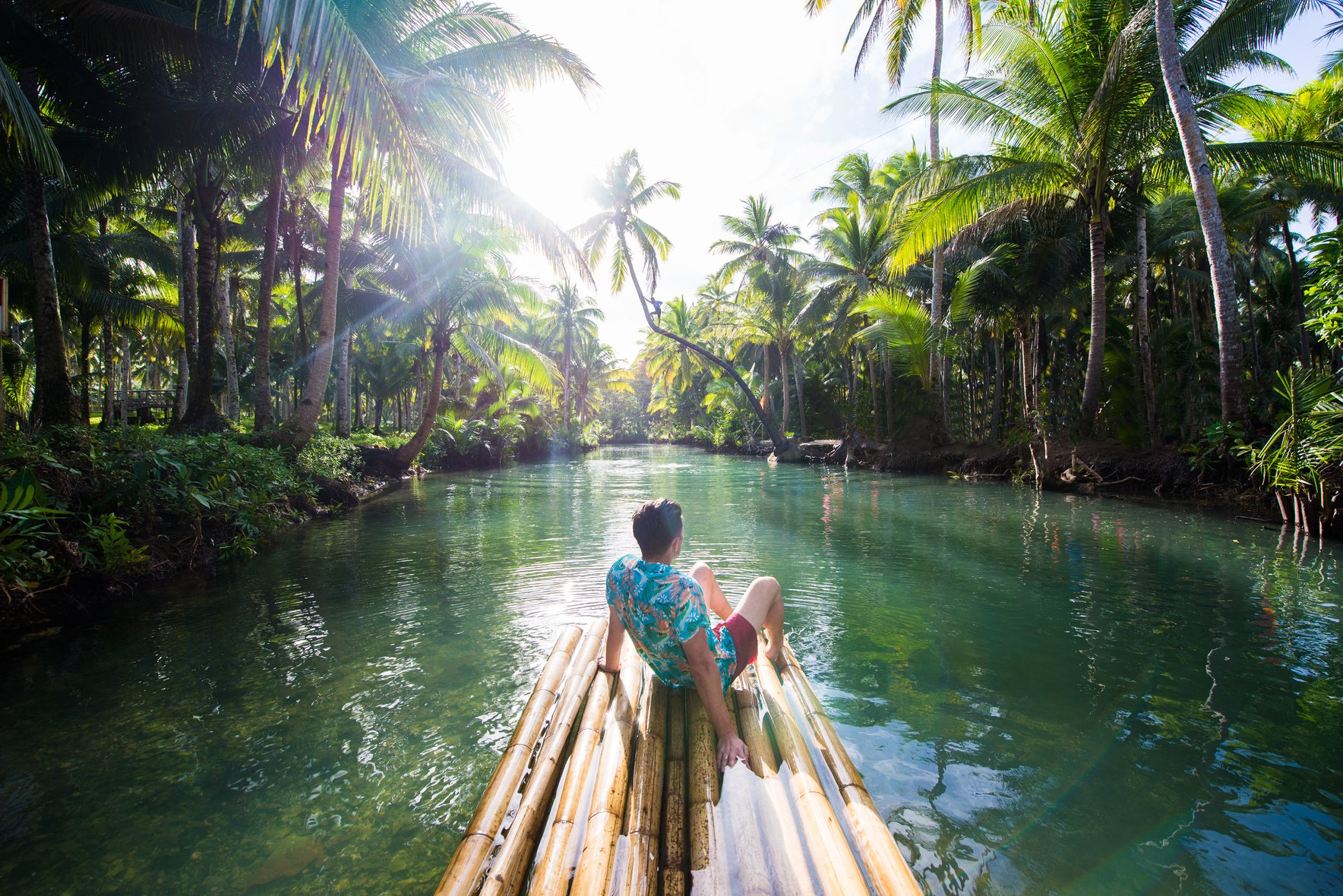 Leaning Palm at Maasin River, Siargao