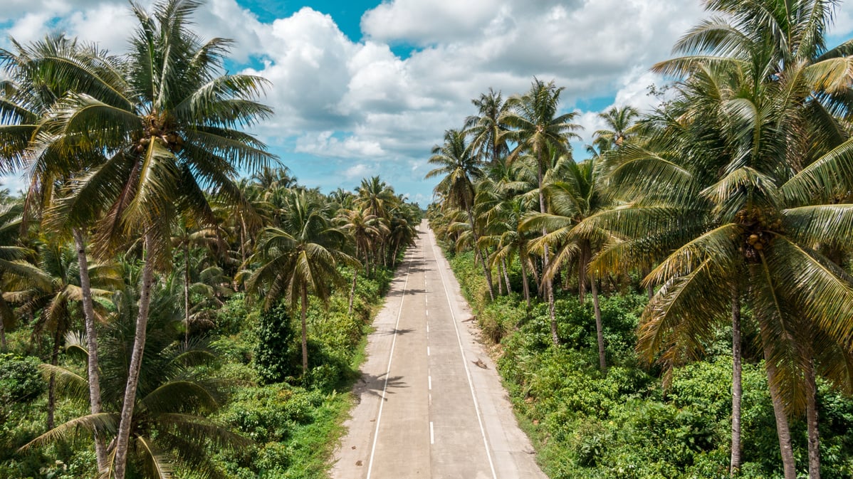 Road through the palm trees forest in the Philippines on Siargao island